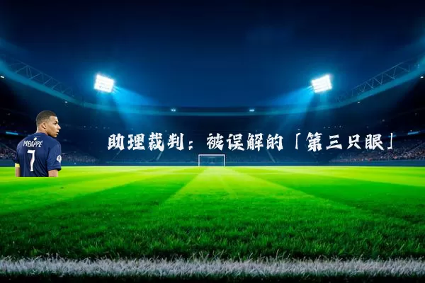助理裁判：被误解的「第三只眼」