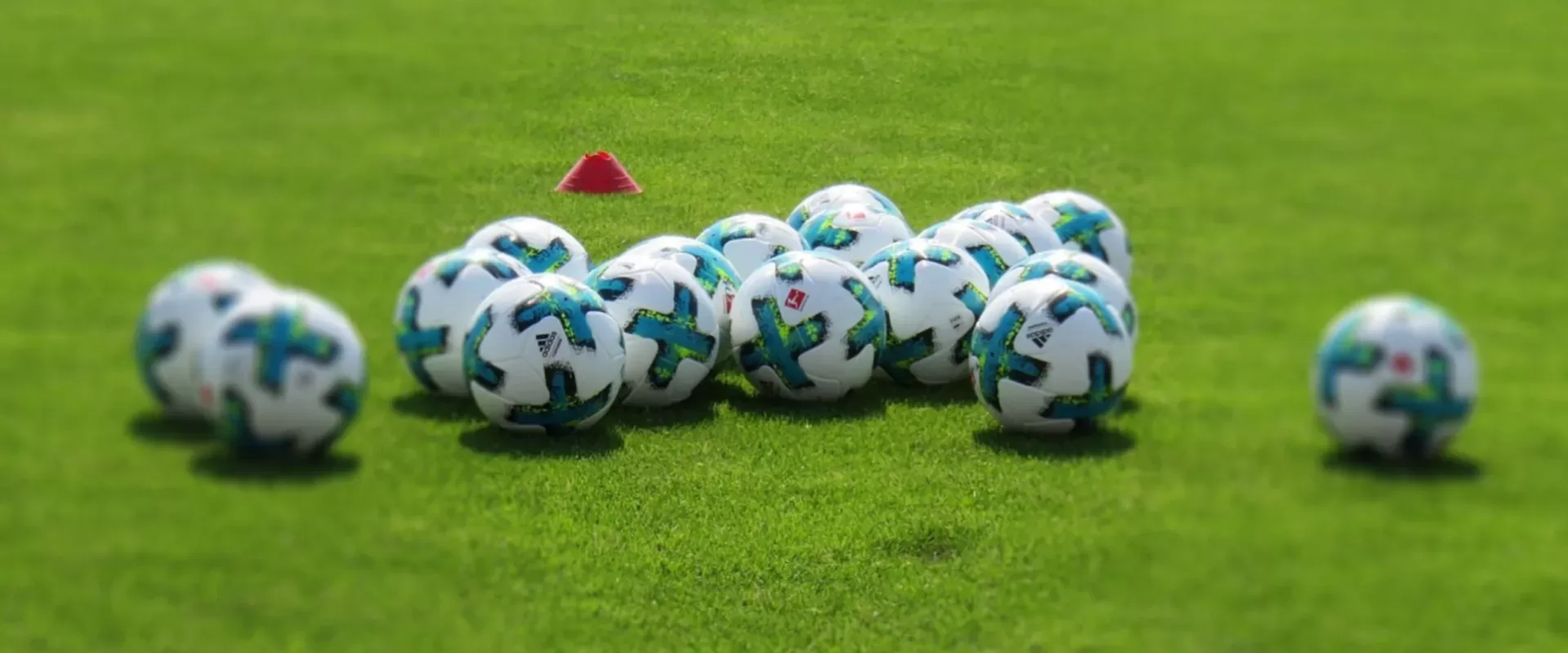 网页版 - 一站式体育服务中心